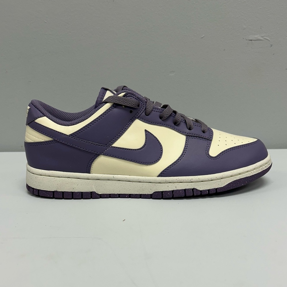 Nike Dunk Low Next Nature Sneakers